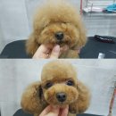 안녕하세요 이미지
