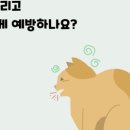 수색동물병원 이미지