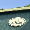 크로키아 | 집들이화분으로 좋은 감성 코로키아 소포라 키우기 물주기