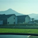 [경남/남해] 단체여행 오션뷰 독채 펜션 :: 남해연리지
