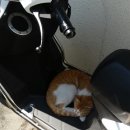 중림파출소 이미지