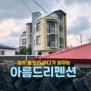 아름드리펜션 | 🌊 월정리 해변 도보 5분 거리 숙소 제주 아름드리 펜션 301호(온돌룸) 숙박 후기