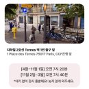 (유)투어렌트카 | 파리 가족여행) 베르사유, 고흐마을, 바토무슈, 지베르니 버스 투어 추천후기