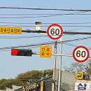 운전자들, 1조원 이상 털렸다. 단속카메라 2만대 도배하니 이렇게 됐습니다! 이미지