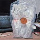 UR(청주시)-[산미로]-상-1 | 청주 리뷰 - 우리청주 한청 내돈내산 후기