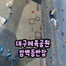 서생체육공원 운동시설 | 대구 클라이밍 체험 후기, 대구체육공원 암벽등반장 어린이 클라이밍