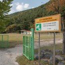 봉황대운동장 이미지