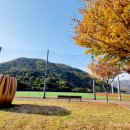 청도베이스볼파크 이미지