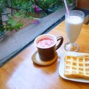 창동 가로수길 이미지