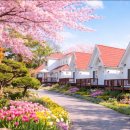 스마일 스토리 | 합천 대병교회 행복 전도 축제 후기 | 조혜련 집사 간증과 스마일 펜션 마일이 감동 스토리까지