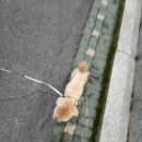 씨앤엠푸드