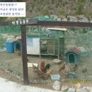 오어사 작은마을  펜션 이미지