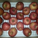 병규농장 이미지