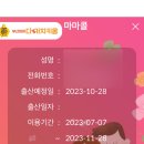 빠른바로콜 이미지