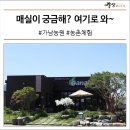 매실이 궁금해? 여기로 와~ #가남농원 #농촌교육농장 #매실체험 #농촌체험