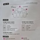 곰체육관 이미지
