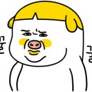금능124 이미지