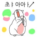 픽슈 이미지