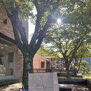 남한강로 | 단양 이끼카페 솔직 후기 (4인 가족 가성비 여행 중 들른 감성 카페)