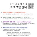 직장인을 위한 요가 | 수원 호매실 1:1 플라잉요가 프라이빗 레슨 후기 : 바쁜 직장인을 위한 주아나요가다움 개인 레슨 - 1:1...