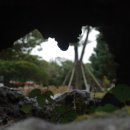 일출랜드식물원 이미지