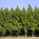 금강로하스 해피로드(1) 이미지