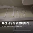 부산 기장 냉동창고 성애제거 및 청소 업체 후기