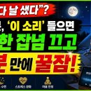 유튜브 틀어놓고 자도 괜찮을까? | 뇌과학자가 알려주는 '꿀잠' 자는 지혜-백작가TV 어른심리통 이미지