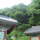 다보사 이미지
