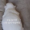 보코보코 마포본점 이미지
