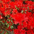 개운한날 이미지