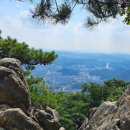 삼선산수목원 숲속도서관 이미지