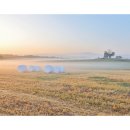 차주목장 이미지