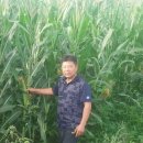 산청-산청-산청센터-01 이미지