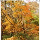 [20091025]이말산 타고 북한산으로 단풍유람산행을 다녀오다 - 4부