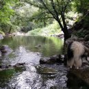 슈에뜨 펜션 이미지