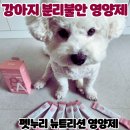 누리정 | 간식처럼 먹이는 영양제 : 펫누리 뉴트리션 영양제 급여후기