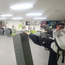 장성태권도장 이미지