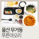 푸른아오리 | 울산 무거동 맛집 푸른아오리 회덮밥세트 배달 후기