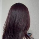 디자인커런트 이미지