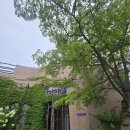 포항 오도리해변 유명카페 이미지