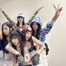 앨리스 베이프 이미지