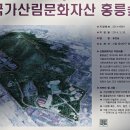홍릉숲 이미지