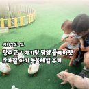 플레이펫 | 광주 근교 아기랑 담양 플레이펫 12개월 아기 동물체험 후기