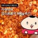 자취생의 업소용 김치 10kg 솔직 후기 (Feat. 주왕산김치)