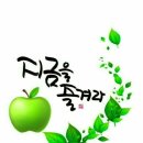 시랑 이미지