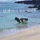 경복궁 생과방 대타 뛰고 왔습니다. | 생과방 알바 후기, 생과방 입장료, 예약