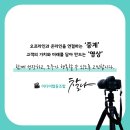 미디어협동조합찰나