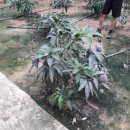 윤미농장 이미지