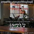 순천 여행 낮술하기좋은곳 분위기 좋은 수제맥주전문점 순천양조장(순천특별시/낙안읍성/월등 솔직후기)